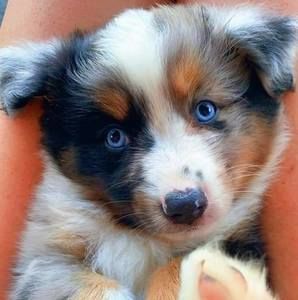 Meet your Posher, Jo